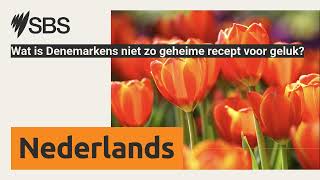 Wat Is Denemarkens Niet Zo Geheime Recept Voor Geluk? Sbs Dutch - Sbs Nederlands
