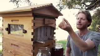 Как собирать мед с Потоковым ульем Flow