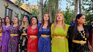 Eşliğinde Mükemmel Bir Kormıl Halayı.