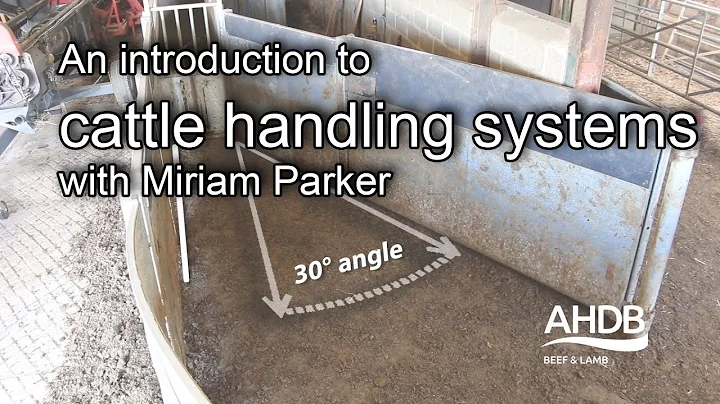 An introduction to cattle handling systems with Mi...