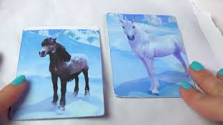 DIY Snow Globe Shaker Cards and Winter Junk Mail Scrapbook Craft screenshot 5