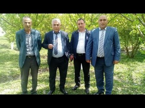 Ziyafeddin Xelilov Vusal Qasimov Serxan Alibeyli - Innen bele o gozlere baxmaram Zerdab Toyu 2017