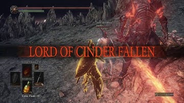 Dark Souls 3 has very good netcode, providing a flawless online experience for all.