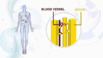 TM-Flow Equipment Video Published by Medica Health