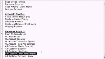 SAP AR Customer Open Item Analysis