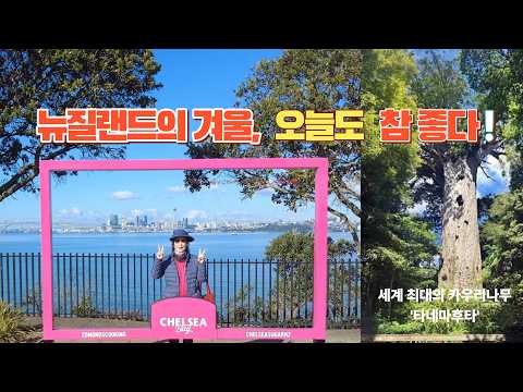 뉴질랜드의 겨울, 오늘도 참 좋다 | 🇳🇿 은퇴일상 320 #뉴질랜드일상 #은퇴부부 #카우리글렌리저브 #뉴질랜드여행 #겨울브이로그 #마자이야기nz