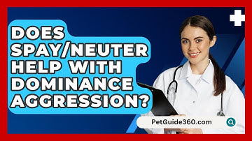 Does Spay/neuter Help With Dominance Aggression? - PetGuide360.com