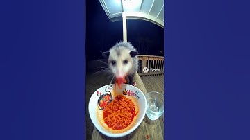 ​A NEW KIND OF COMEDY? AI is creating the funniest videos of 2025.