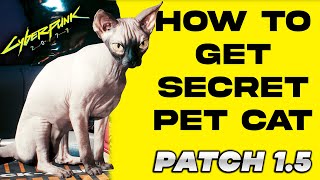 Cyberpunk 2077 : Secret PET CAT | How to Get it Very Easy