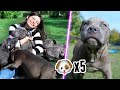 5 YAVRU KÖPEK İLE BİR GÜN GEÇİRMEK!!! (İnanılmaz Deneyim)