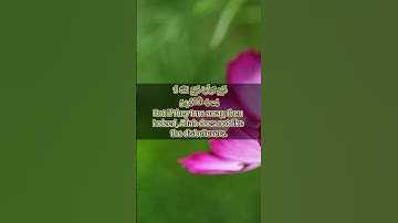 قرآن الكريم سورة آل عمران الآية 31The Holy Quran, Surah Al Imran, Verse 31  #انقذوا_غزة