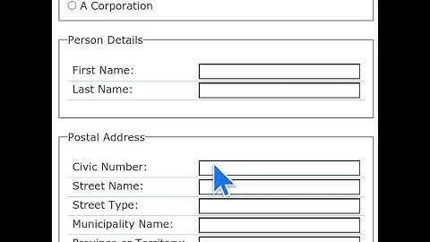 TiddlyWiki Database Application Programming:  "Customers" Application Preview