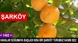 Havalar Soğumaya Başladi Kisa Bi̇r Şarköy Turumuz Kasim 2022 1462