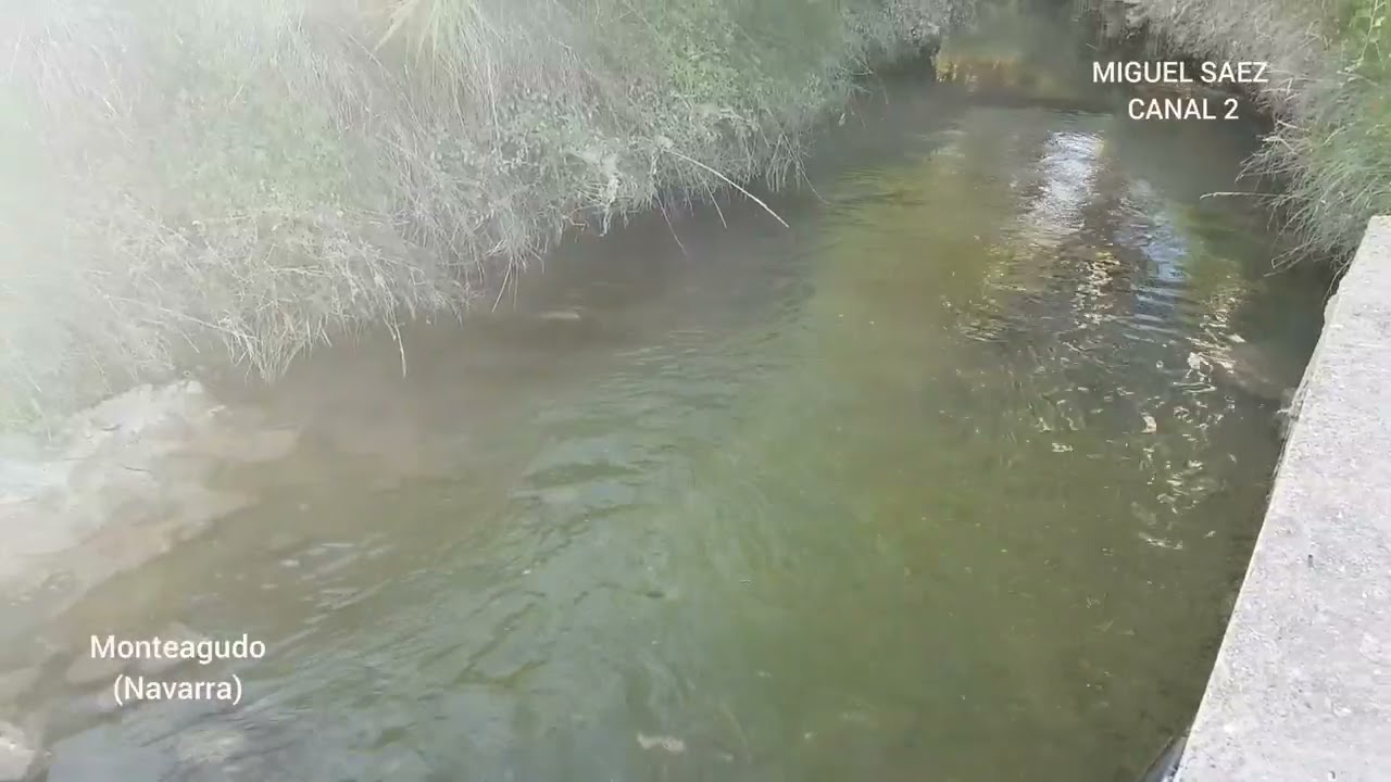Monteagudo (Navarra) Melendero .
