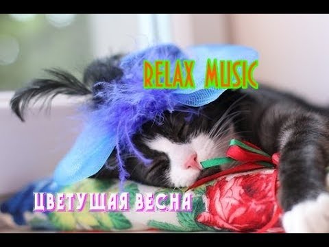 КРАСИВЫЙ ДЖАЗ И ЦВЕТУЩАЯ ВЕСНА & JAZZ RELAX MUSIC