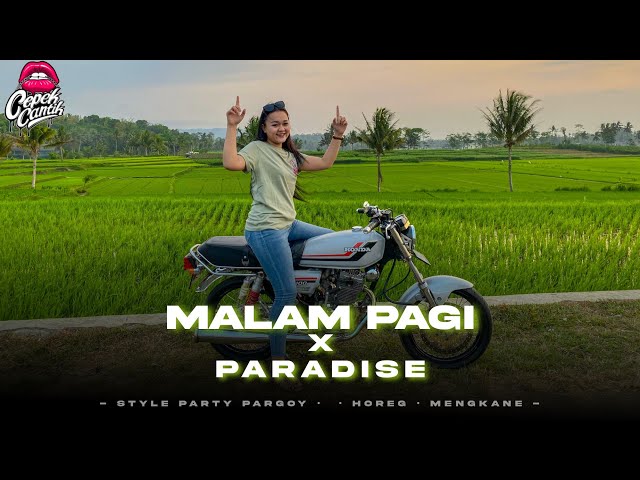 DJ PARTY MALAM PAGI X PARADISE • CEPEKCANTIKOFFICIAL • class=