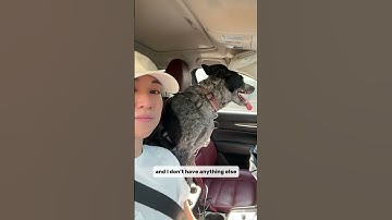 30 for 30 Sunscreen 2025 - Day 7 Trader Joe