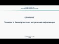 Паводок в Башкортостане: актуальная информация