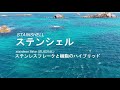 ステンシェル®（SUSフレーク含有塗料）