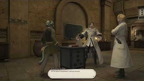 FFXIV - The Arcanist