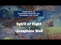 Unboxing de diamond painting de Diamond Art Club - Spirit of flight de Josephine Wall