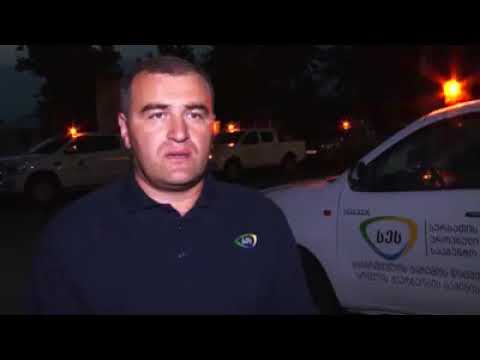 დასავლეთ საქართველოში თერმული ნისლით ფართობების დამუშავება აქტიურად მიმდინარეობს