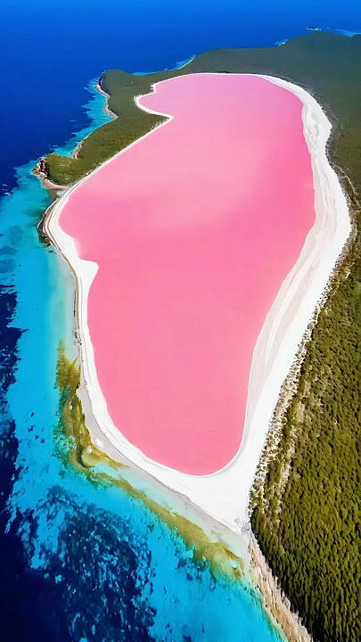 The Pinkest Place on Earth.