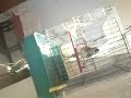 تغريد حسون حطاطبة 