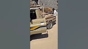 تحميل شاص 2022 