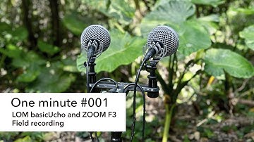One minute #001 / LOM basicUcho and ZOOM F3