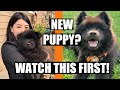 NEW PUPPY ESSENTIALS 2020 | EMZOTIC