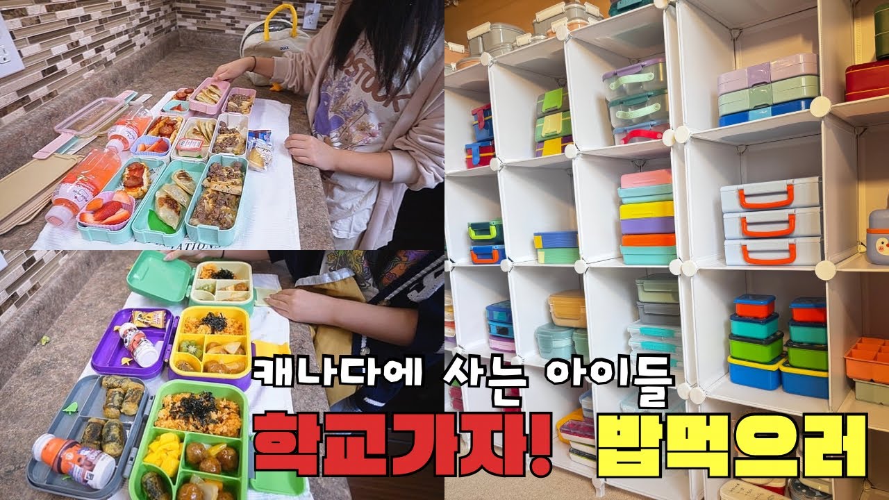 🇨🇦한국 급식이 너무 부러운 캐나다에 사는 아이들/ 아이가 직접 고른 도시락통으로 도시락 싸주는 엄마/korean lunchbox