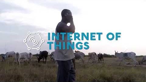WAZIUP: IoT and Big Data Platform