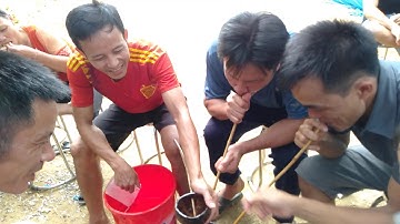 Uống rượu cần siêu ngọt