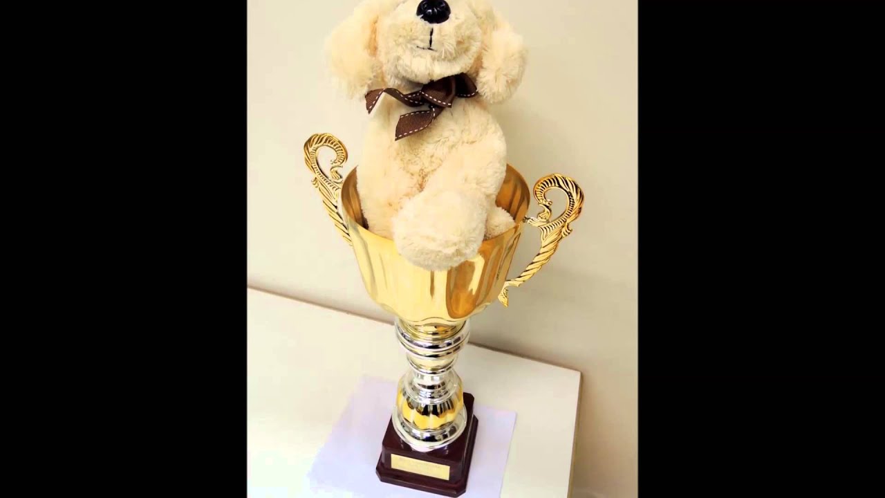 Hirvipeijaiset Vehvilä-Talolla 2015