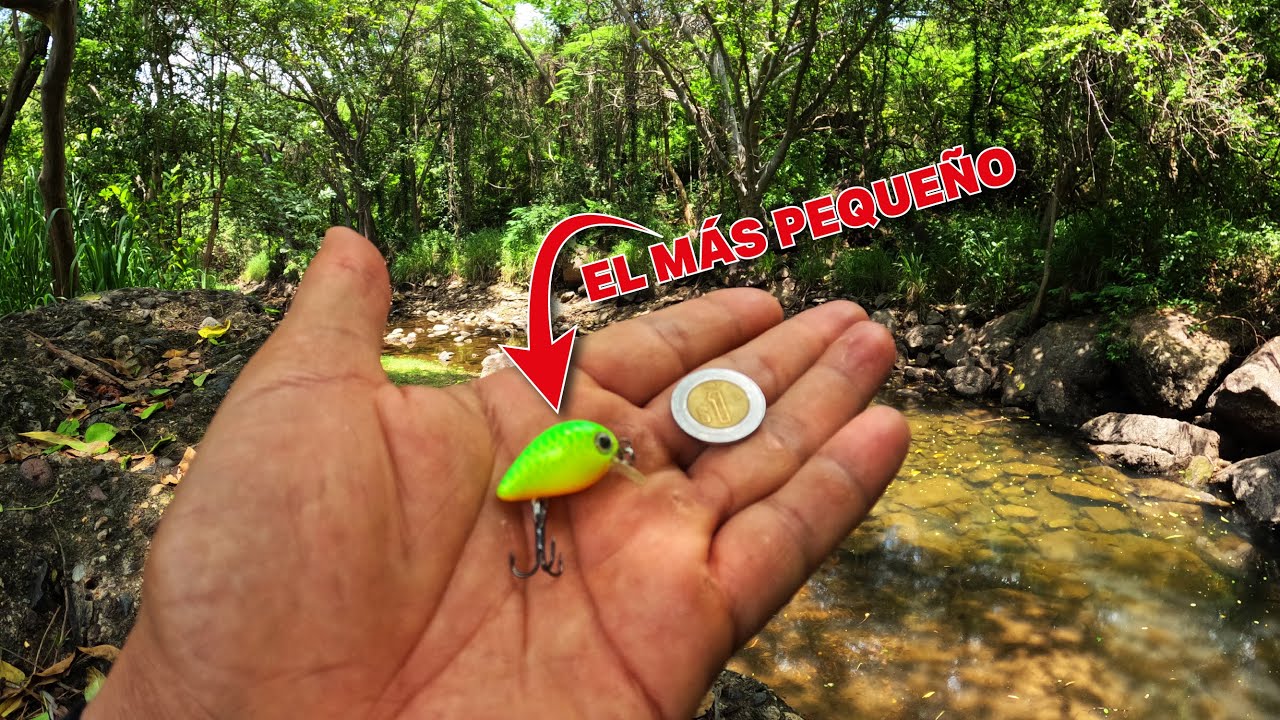 PESCANDO con el señuelo MAS PEQUEÑO DEL MUNDO