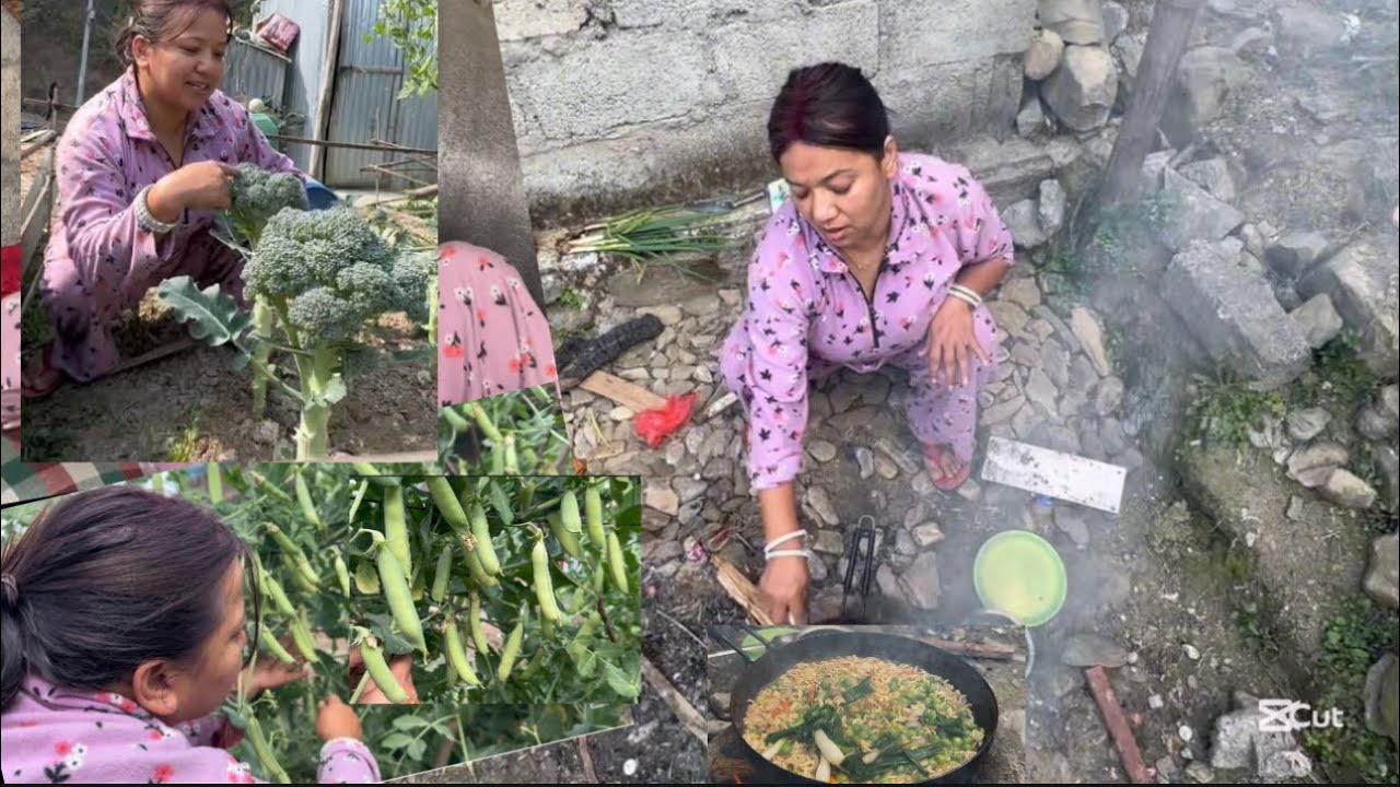 Budoko Mehenatle Mitho khana pain Meghale// aafnai barima faleko 