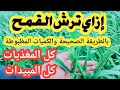 رش القمح بالطريقة الصحيحة كل المبيدات والمغذيات اللي هترشها علي القمح لزيادة الإنتاج