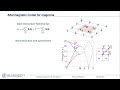 Topological responses from gapped Weyl points in 2D altermagnets