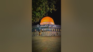 قرآن كريم #المصحف #اكسبلور #قرآن #tiktok #الرحمن