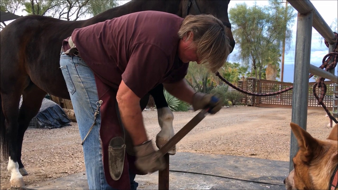 Gary Tolmachoff, Horse Shoer of the Stars YouTube