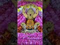 baba Shyam ke sundar shringar ke darshan 🙏😍#shortsfeed