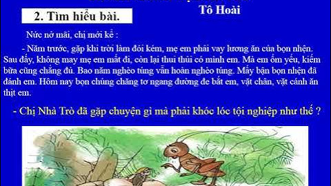 Tuần 1 - Tập đọc lớp 4 : Dế Mèn bênh vực kẻ yếu (trang 4)