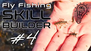 Fly Fishing Skill Builder #4 | 3 Simple Steps to Help You Choose What Flies to Use!
