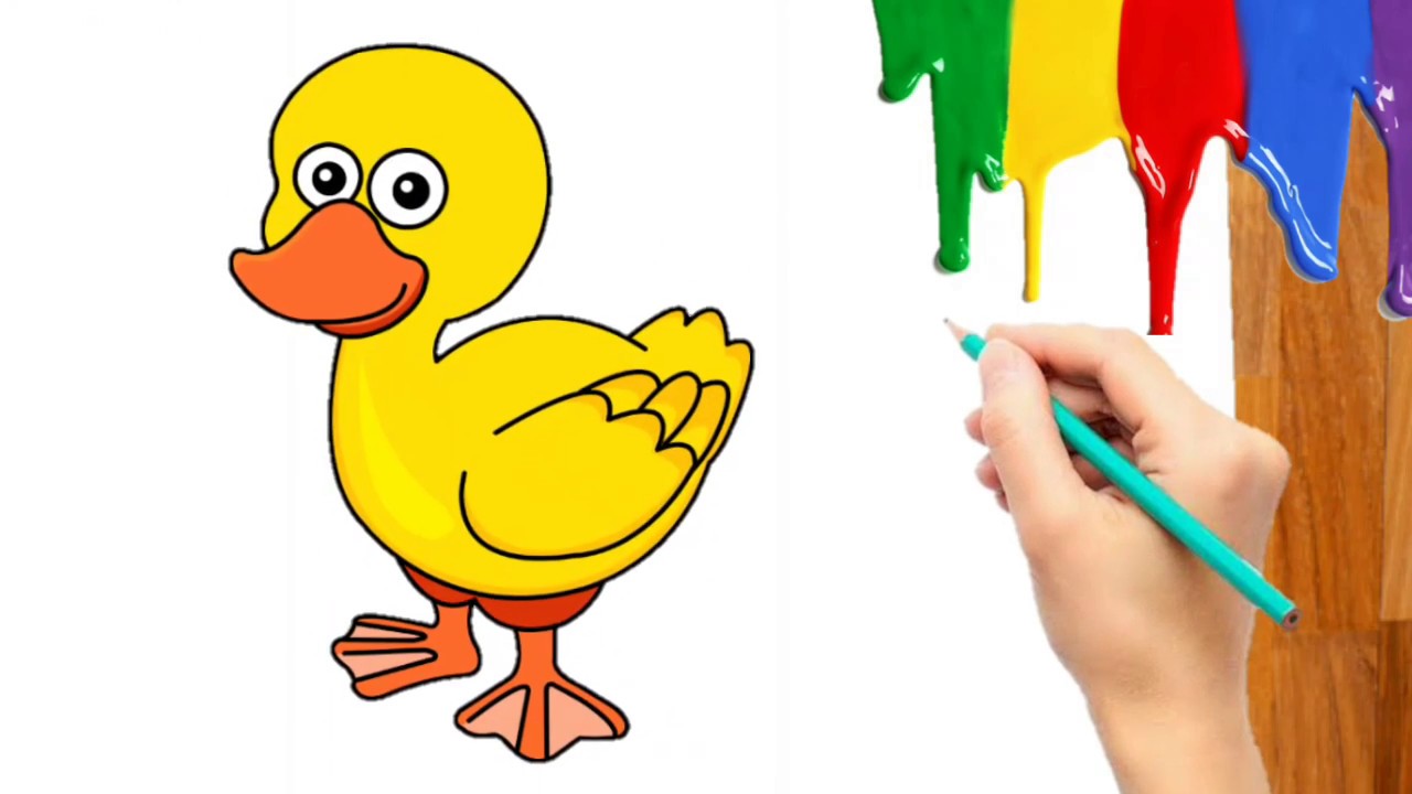  Contoh  Gambar  Mewarnai Gambar  Bebek  Lucu KataUcap