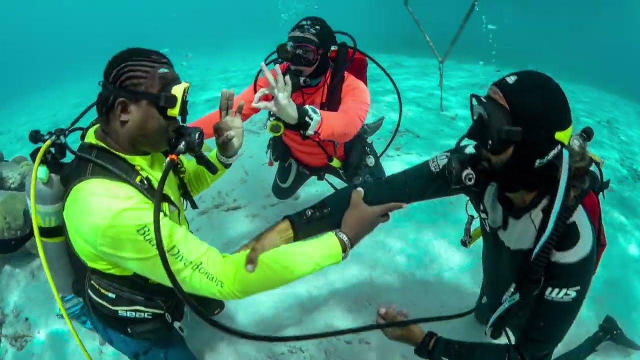 Buddy Dive Bonaire Best Dive Resort in the Caribbean