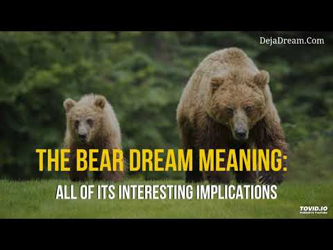 Video: Why Is The Bear Dreaming