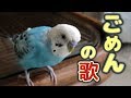 インコが作った替え歌 Budgie Makes Parody Song