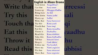 #english #oromo_tik_tok #education #marakienglish #BEL ACADEMY #hirkoo english Teacher Nigus