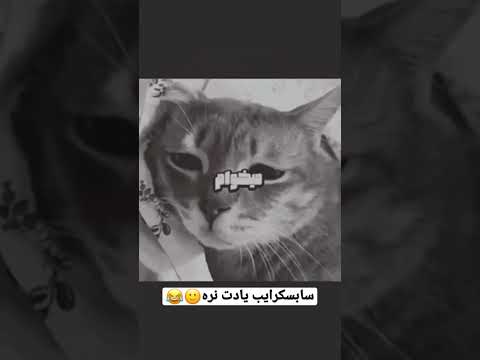 من دودول قبلیمو میخام